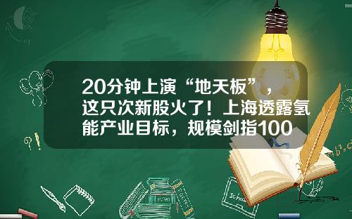 20分钟上演“地天板”，这只次新股火了！上海透露氢能产业目标，规模剑指1000亿元，上市公司布局浮出水面，高增长潜力股名单请收藏-股票最新资讯是什么意思