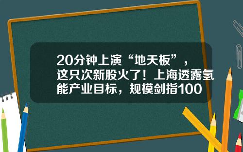 20分钟上演“地天板”，这只次新股火了！上海透露氢能产业目标，规模剑指1000亿元，上市公司布局浮出水面，高增长潜力股名单请收藏-股票看哪个资讯