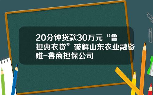 20分钟贷款30万元“鲁担惠农贷”破解山东农业融资难-鲁商担保公司