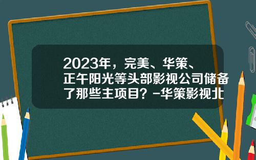 2023年，完美、华策、正午阳光等头部影视公司储备了那些主项目？-华策影视北京分公司