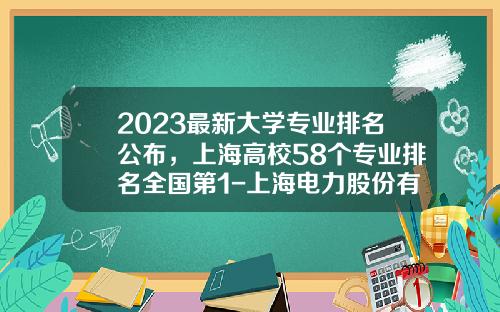 2023最新大学专业排名公布，上海高校58个专业排名全国第1-上海电力股份有限公司竞争力