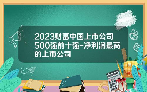 2023财富中国上市公司500强前十强-净利润最高的上市公司