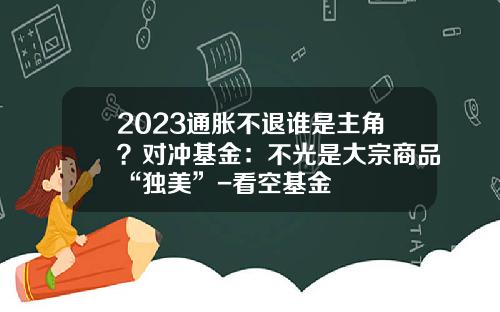 2023通胀不退谁是主角？对冲基金：不光是大宗商品“独美”-看空基金