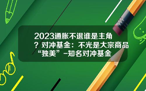 2023通胀不退谁是主角？对冲基金：不光是大宗商品“独美”-知名对冲基金