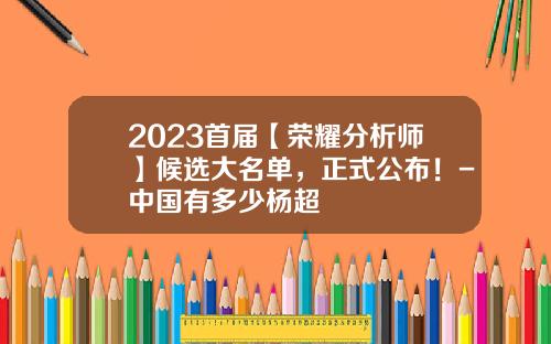 2023首届【荣耀分析师】候选大名单，正式公布！-中国有多少杨超