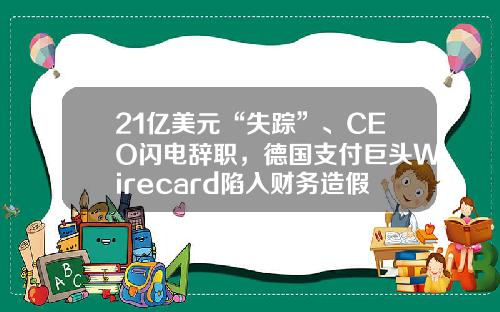 21亿美元“失踪”、CEO闪电辞职，德国支付巨头Wirecard陷入财务造假风波-德国垃圾处理公司