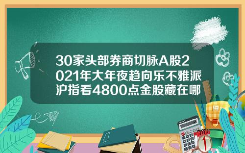 30家头部券商切脉A股2021年大年夜趋向乐不雅派沪指看4800点金股藏在哪