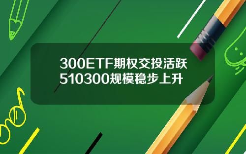 300ETF期权交投活跃510300规模稳步上升