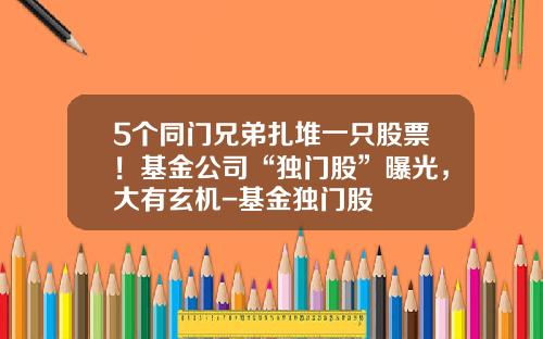 5个同门兄弟扎堆一只股票！基金公司“独门股”曝光，大有玄机-基金独门股