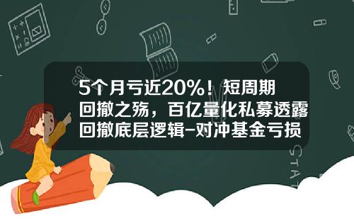 5个月亏近20%！短周期回撤之殇，百亿量化私募透露回撤底层逻辑-对冲基金亏损