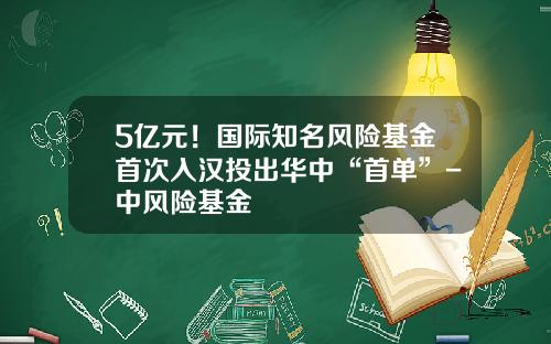 5亿元！国际知名风险基金首次入汉投出华中“首单”-中风险基金