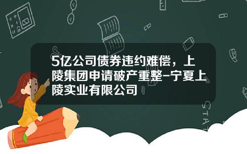 5亿公司债券违约难偿，上陵集团申请破产重整-宁夏上陵实业有限公司