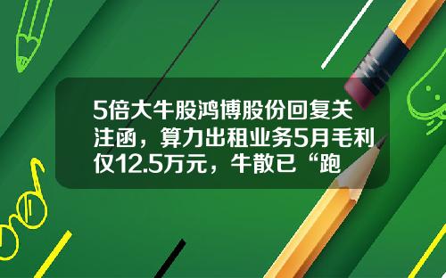 5倍大牛股鸿博股份回复关注函，算力出租业务5月毛利仅12.5万元，牛散已“跑路”-鸿博股份有限公司智