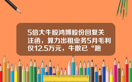 5倍大牛股鸿博股份回复关注函，算力出租业务5月毛利仅12.5万元，牛散已“跑路”-002229最高多少