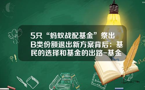 5只“蚂蚁战配基金”祭出B类份额退出新方案背后：基民的选择和基金的出路-基金b有哪些
