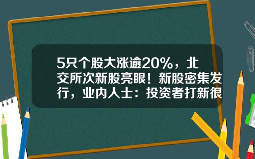 5只个股大涨逾20%，北交所次新股亮眼！新股密集发行，业内人士：投资者打新很理性-深次新股基金