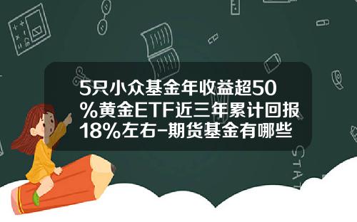 5只小众基金年收益超50%黄金ETF近三年累计回报18%左右-期货基金有哪些