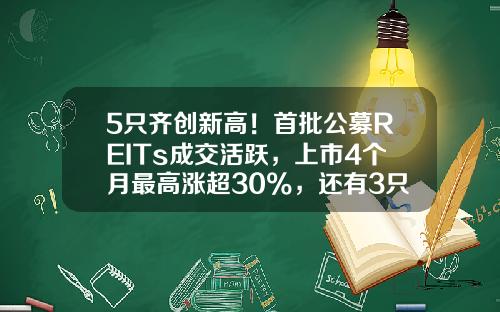 5只齐创新高！首批公募REITs成交活跃，上市4个月最高涨超30%，还有3只新品在路上-天星基金