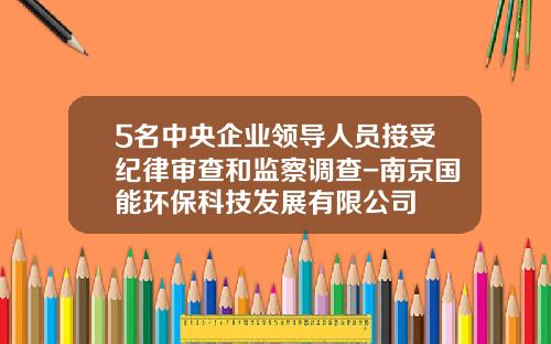 5名中央企业领导人员接受纪律审查和监察调查-南京国能环保科技发展有限公司