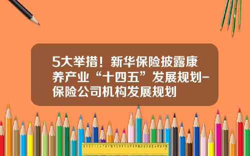 5大举措！新华保险披露康养产业“十四五”发展规划-保险公司机构发展规划