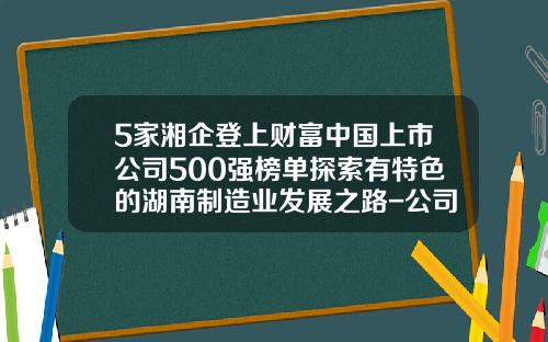 5家湘企登上财富中国上市公司500强榜单探索有特色的湖南制造业发展之路-公司上市股票资讯