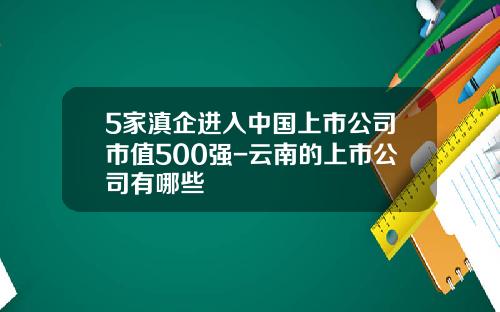5家滇企进入中国上市公司市值500强-云南的上市公司有哪些