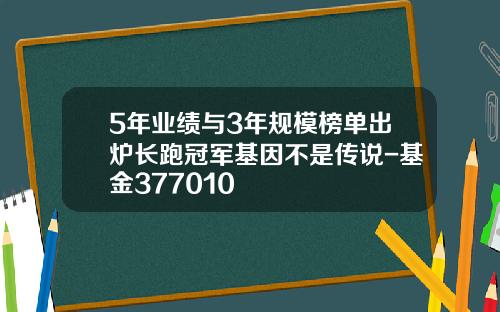 5年业绩与3年规模榜单出炉长跑冠军基因不是传说-基金377010