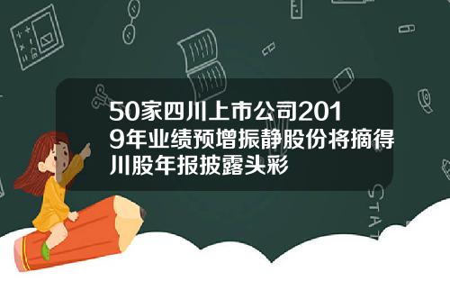 50家四川上市公司2019年业绩预增振静股份将摘得川股年报披露头彩