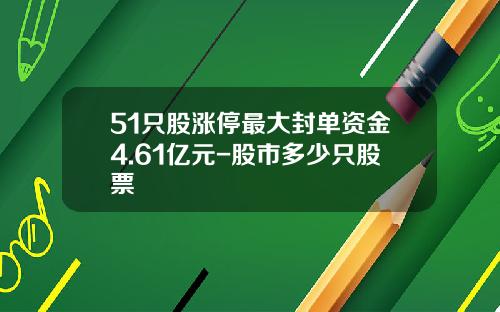 51只股涨停最大封单资金4.61亿元-股市多少只股票