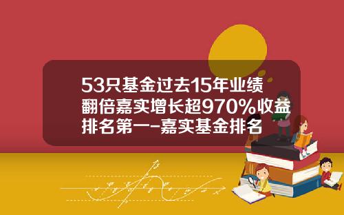 53只基金过去15年业绩翻倍嘉实增长超970%收益排名第一-嘉实基金排名