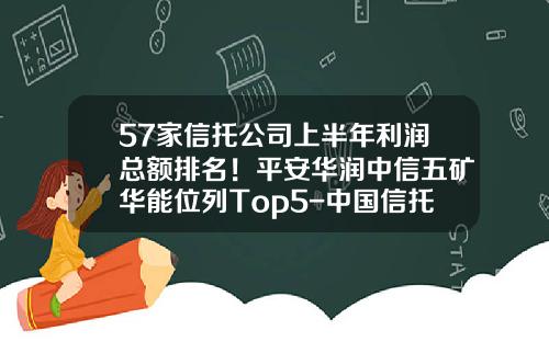 57家信托公司上半年利润总额排名！平安华润中信五矿华能位列Top5-中国信托公司排名
