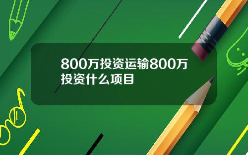 800万投资运输800万投资什么项目