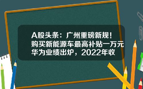 A股头条：广州重磅新规！购买新能源车最高补贴一万元华为业绩出炉，2022年收入达到6423亿元-法国爱科森医疗科技有限公司【新闻】.