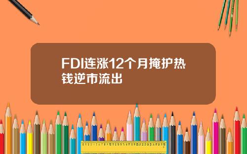 FDI连涨12个月掩护热钱逆市流出