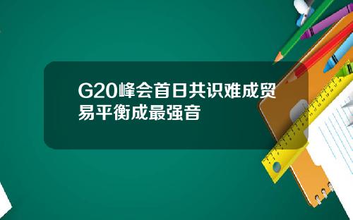 G20峰会首日共识难成贸易平衡成最强音