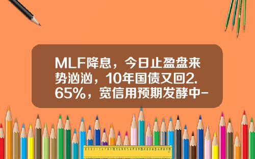 MLF降息，今日止盈盘来势汹汹，10年国债又回2.65%，宽信用预期发酵中-十年国债利率是多少