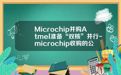 Microchip并购Atmel准备“双核”并行-microchip收购的公司