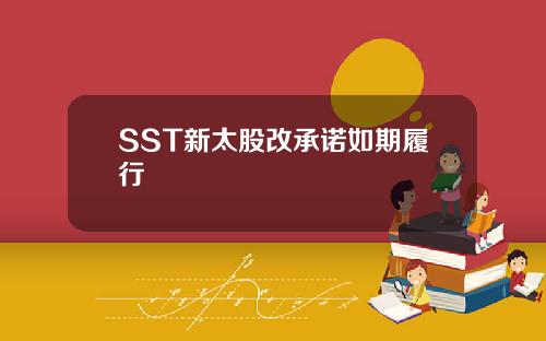 SST新太股改承诺如期履行