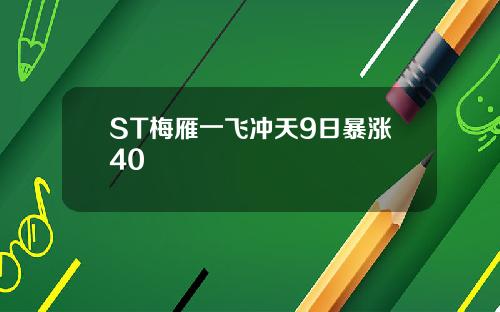 ST梅雁一飞冲天9日暴涨40