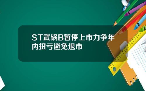 ST武锅B暂停上市力争年内扭亏避免退市