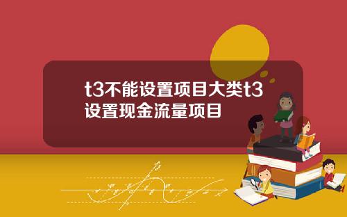 t3不能设置项目大类t3设置现金流量项目