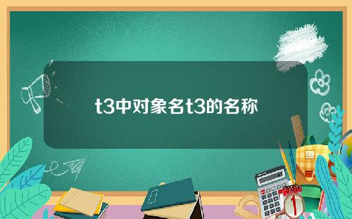 t3中对象名t3的名称