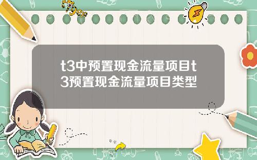 t3中预置现金流量项目t3预置现金流量项目类型