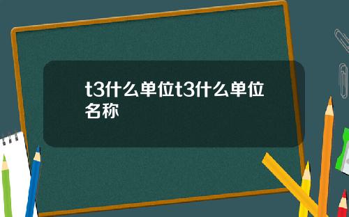t3什么单位t3什么单位名称