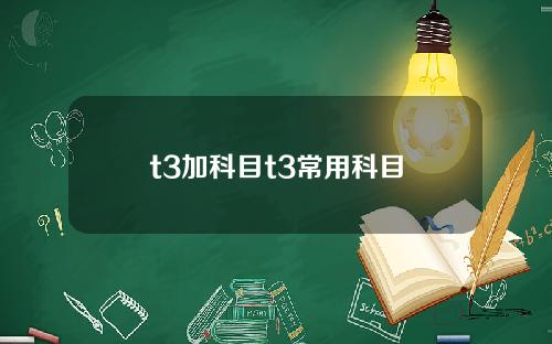 t3加科目t3常用科目