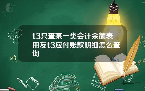 t3只查某一类会计余额表用友t3应付账款明细怎么查询