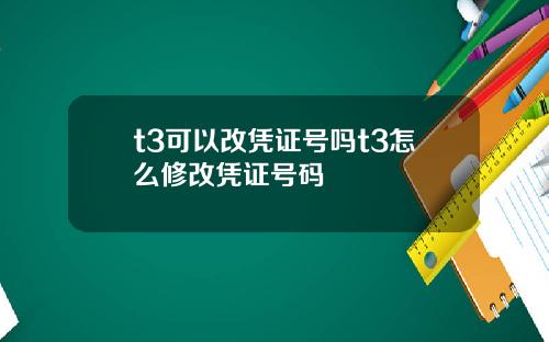 t3可以改凭证号吗t3怎么修改凭证号码