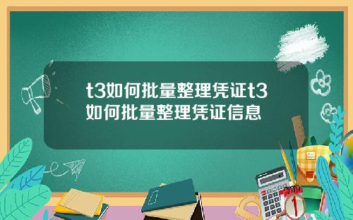 t3如何批量整理凭证t3如何批量整理凭证信息