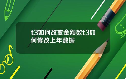 t3如何改变金额数t3如何修改上年数据