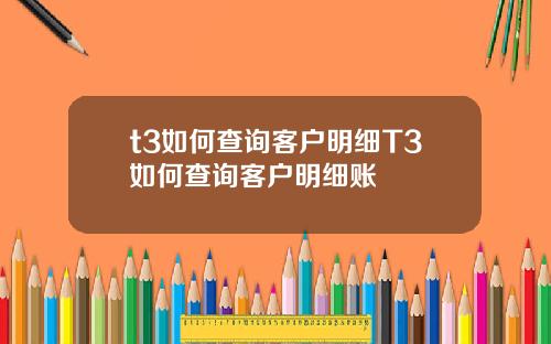 t3如何查询客户明细T3如何查询客户明细账